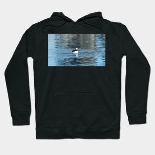 Bufflehead Swimming In The Water Hoodie